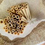 50-Pack Reusable Bamboo Straws with 5 Cleaning Brushes, Natural & Uncoated