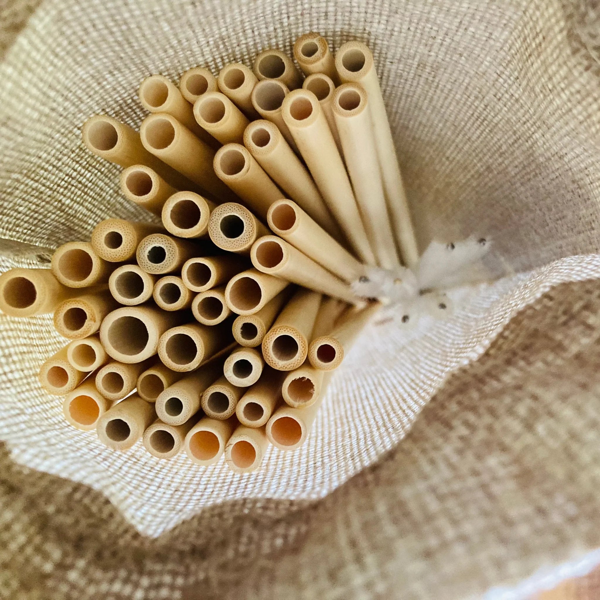 50-Pack Reusable Bamboo Straws with 5 Cleaning Brushes, Natural & Uncoated